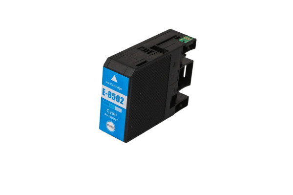 Cartuccia d'inchiostro compatibile C13T850200, 87ml Fogli per stampanti Epson (ORINK BULK)