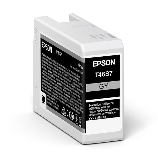 Epson original ink C13T46S700, gray