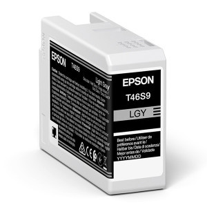 Epson original ink C13T46S900, light gray