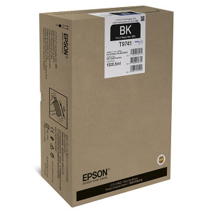 Epson originální ink C13T974100, black